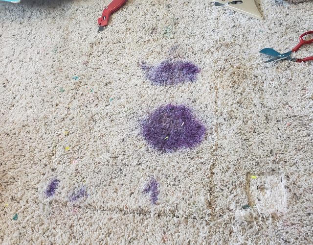 No Problem Carpet Care 2