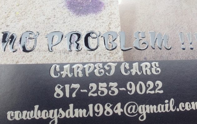 No Problem Carpet Care 5