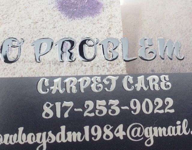 No Problem Carpet Care 5