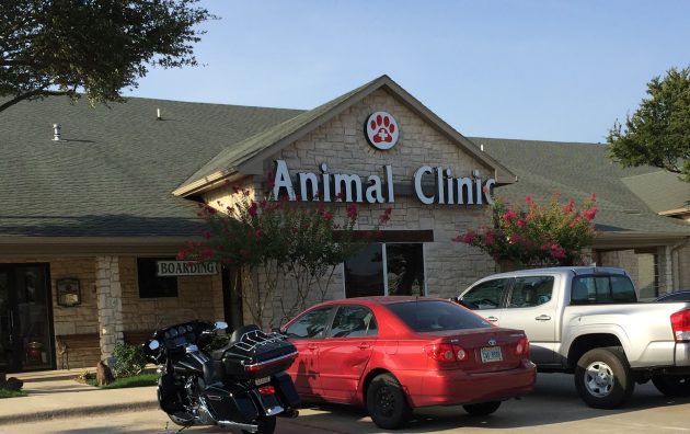 North Colony Animal Clinic 5