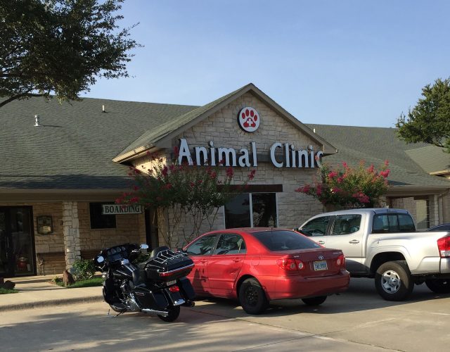 North Colony Animal Clinic 5