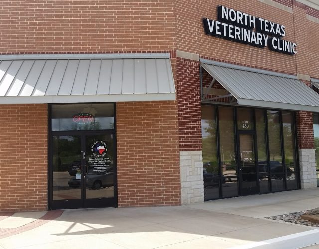 North Texas Veterinary Clinic 3