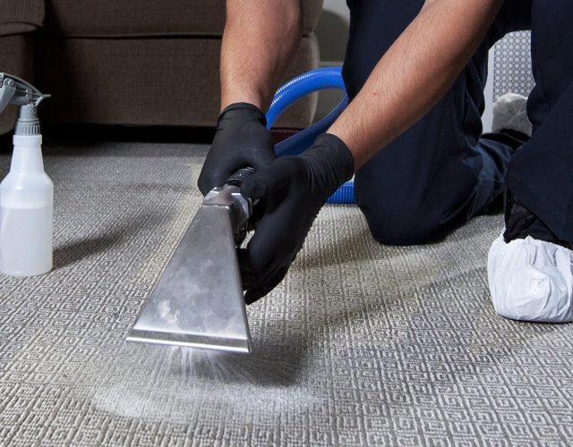 Ortaga Carpet’s & Rug Cleaning 4