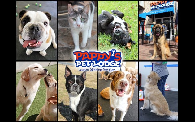 Pappy’s Pet Lodge – Addison 5