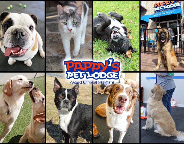 Pappy’s Pet Lodge – Addison 5