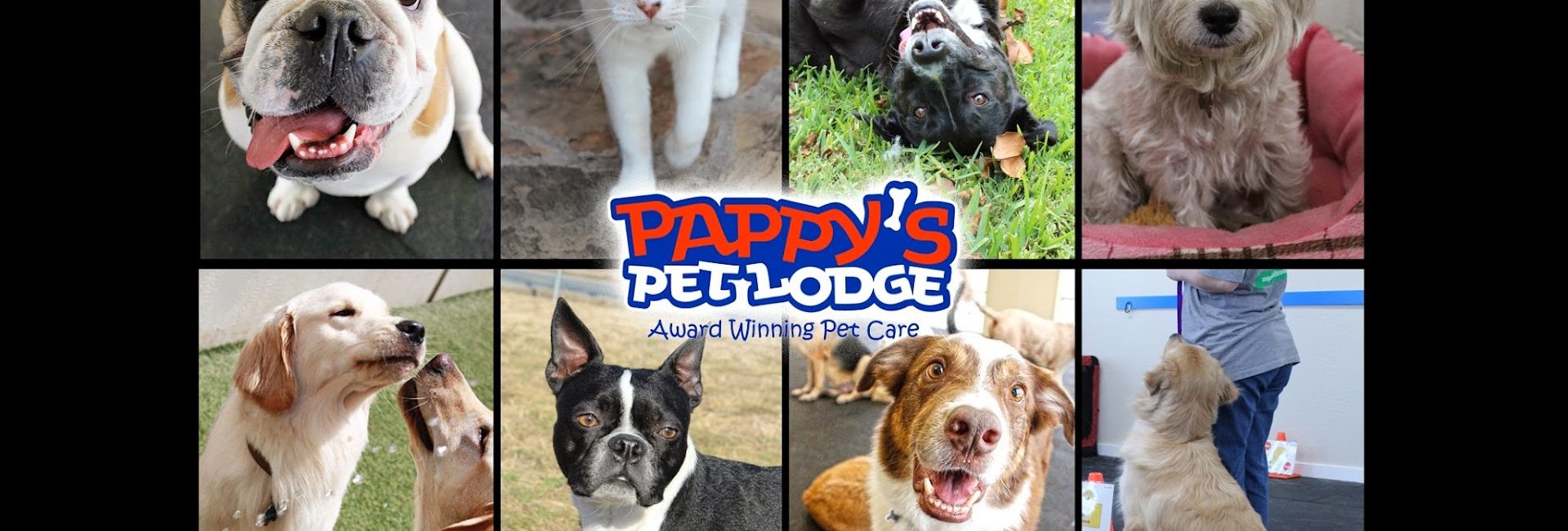 Pappy’s Pet Lodge – N. Plano 6