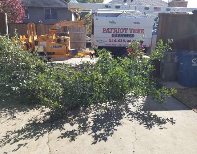 Patriot Tree Service 2