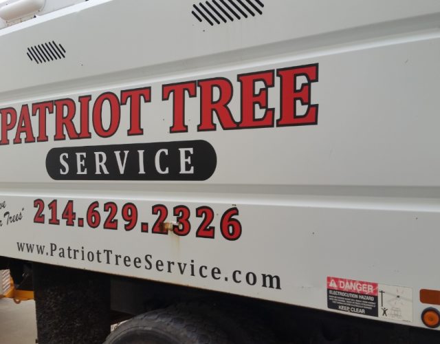 Patriot Tree Service 5