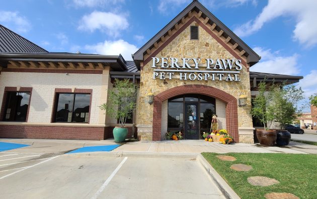 Perky Paws Pet Hospital 6