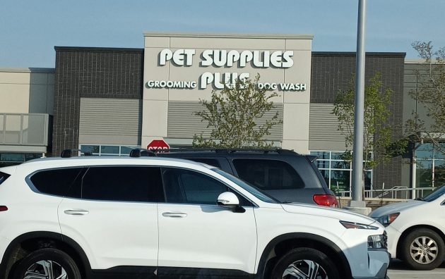 Pet Supplies Plus Fate 6