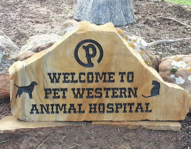 Pet Western Animal Hospital 3