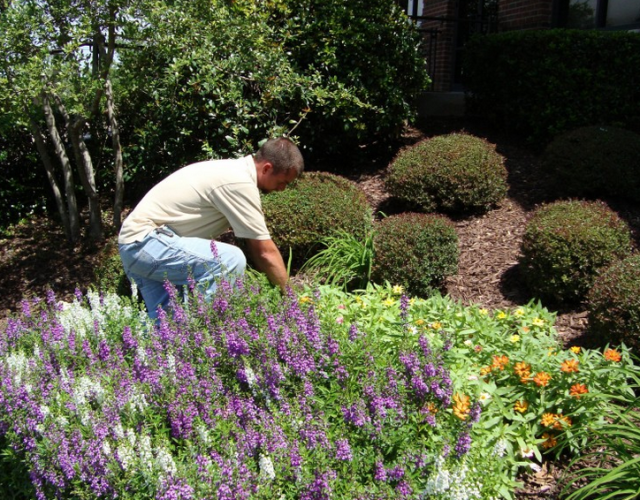 Peterson’s Landscape & Maintenance Services 4