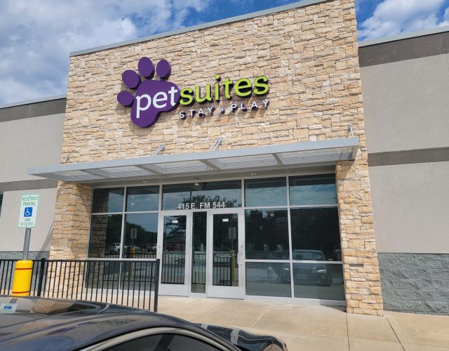 PetSuites Murphy 2