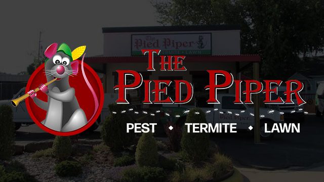 Pied Piper Pest, Termite & Lawn Services 5