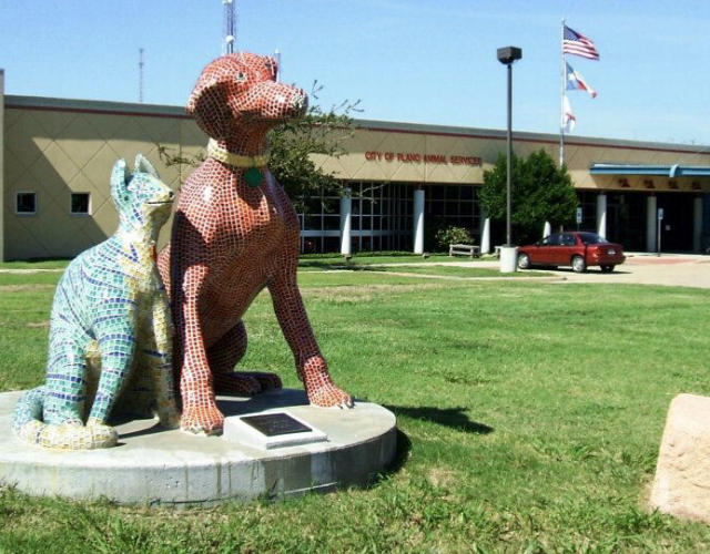 Plano Animal Services Department 4