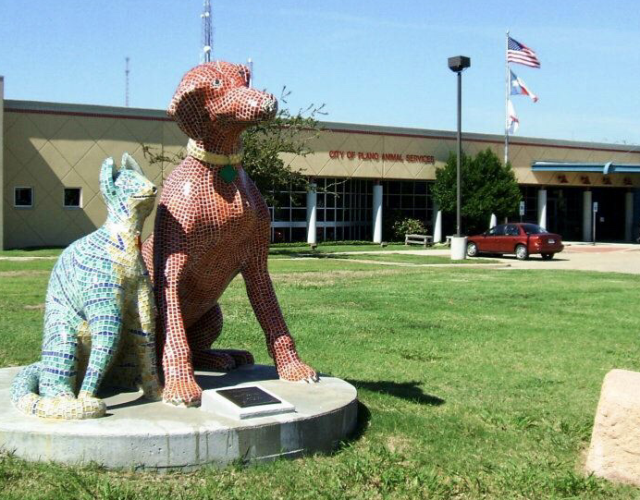 Plano Animal Services Department 5