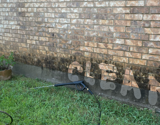 Pressure Washed Exteriors, llc 2