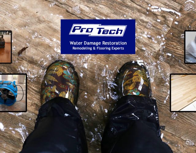 Pro Tech Restoration Services 5