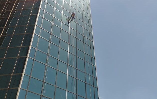 Pro Window Cleaning and Pressure Washing 4