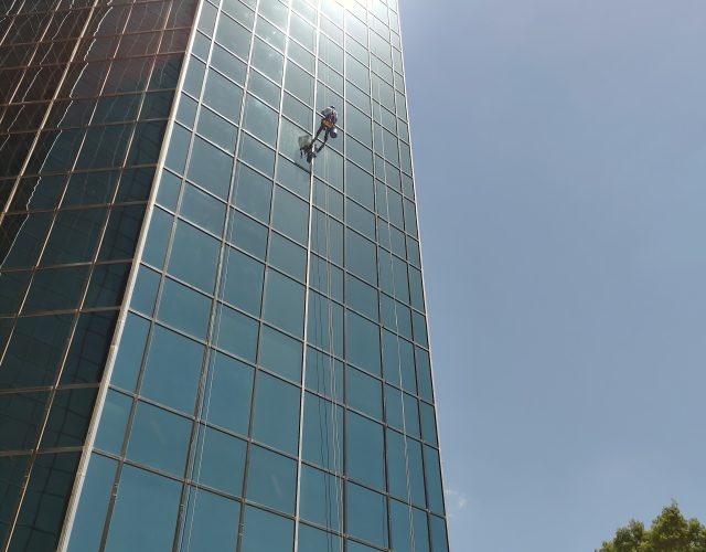 Pro Window Cleaning and Pressure Washing 4