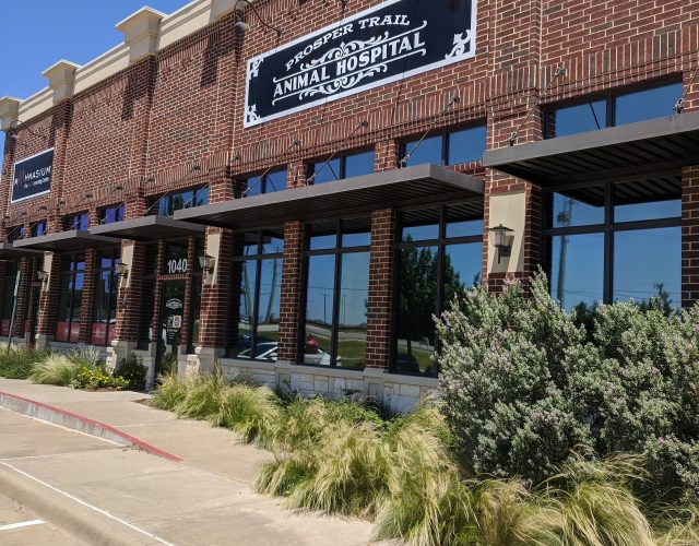 Prosper Trail Animal Hospital 5