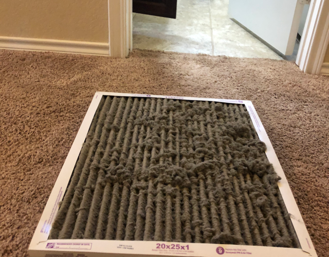 Quality Care Carpet Cleaning 4