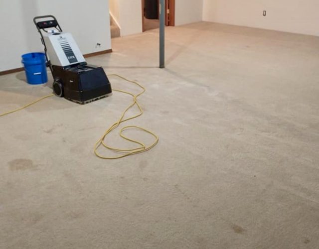 Quality Carpet Cleaning Solutions 3