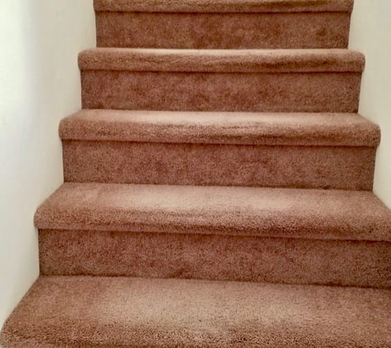 Quality Carpet Cleaning Solutions 5