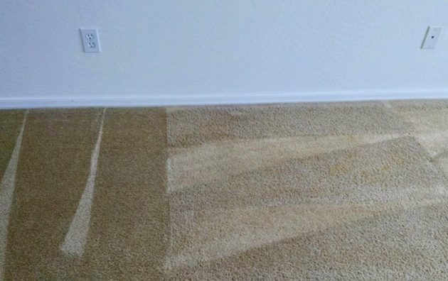 Quality Carpet Cleaning Solutions 6