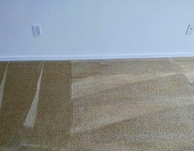 Quality Carpet Cleaning Solutions 6