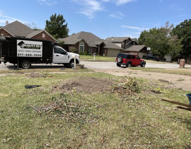 Quality cut tree service keller tx 2