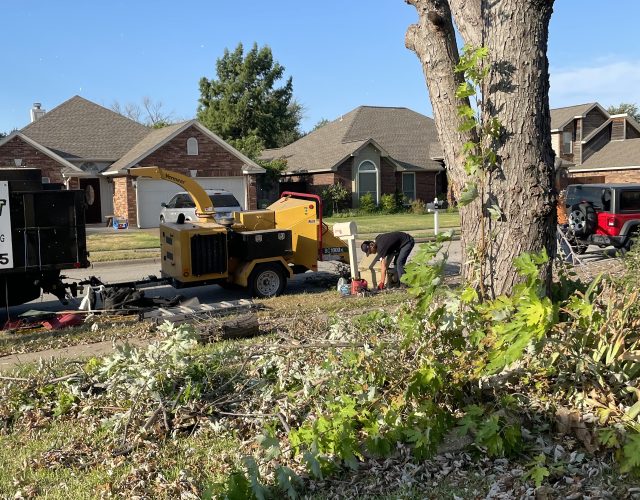 Quality cut tree service keller tx 3