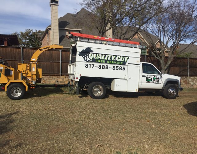 Quality cut tree service keller tx 4