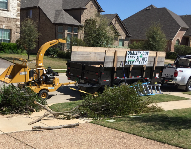 Quality cut tree service keller tx 5