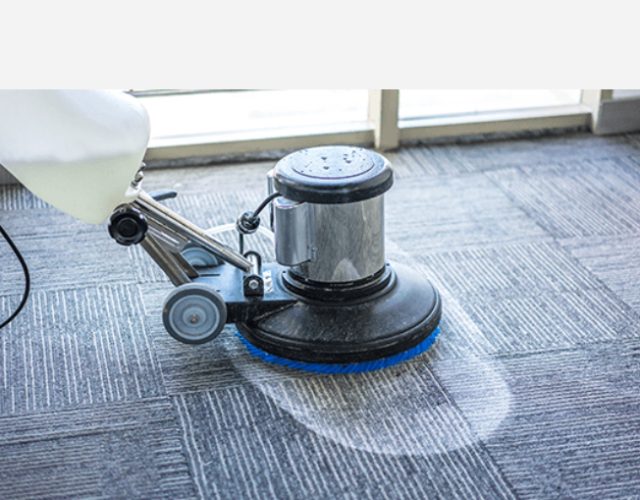 Red Oak’s Best Carpet Cleaning 4