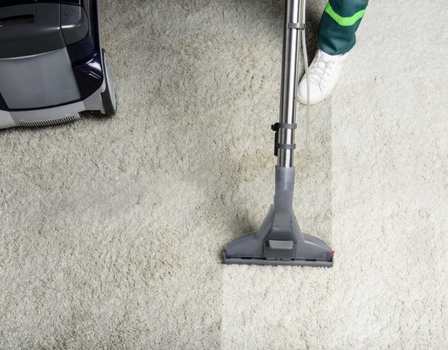 Red Oak’s Best Carpet Cleaning 5