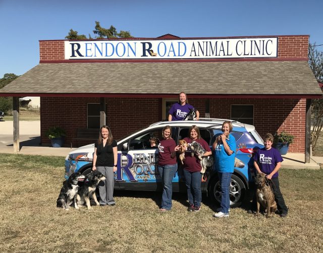 Rendon Rd Animal Clinic PC 3