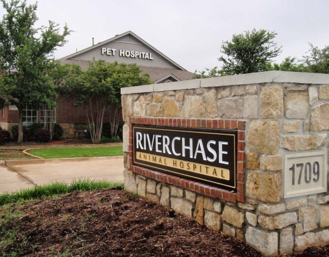 Riverchase Animal Hospital 2