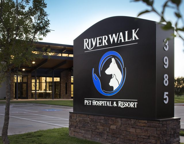 Riverwalk Pet Hospital & Resort 2