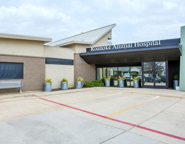 Roanoke Animal Hospital 2