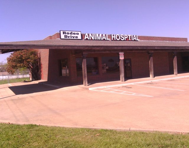 Rodeo Drive Veterinary Hospital 2