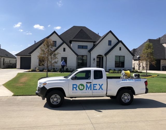 Romex Pest Control 2