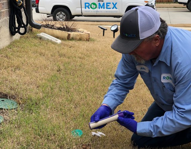 Romex Pest Control 5