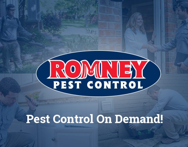 Romney Pest Control 3