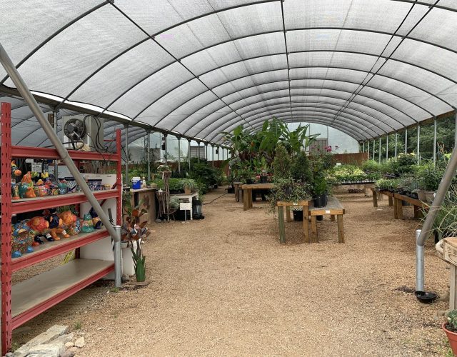 Roots Garden Center & Landscaping 3