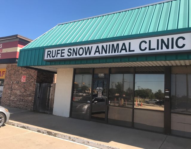 Rufe Snow Animal Clinic 5