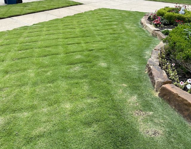 Ryno Lawn Care, LLC 2