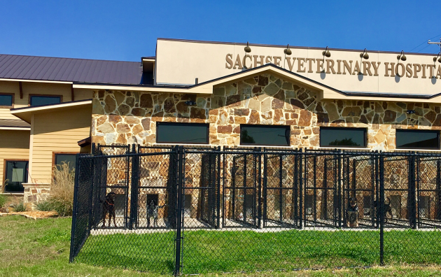 Sachse Veterinary Hospital 6