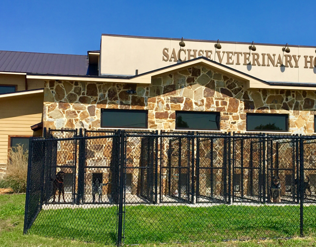 Sachse Veterinary Hospital 6