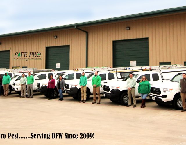 Safe Pro Pest Control – Plano TX 6